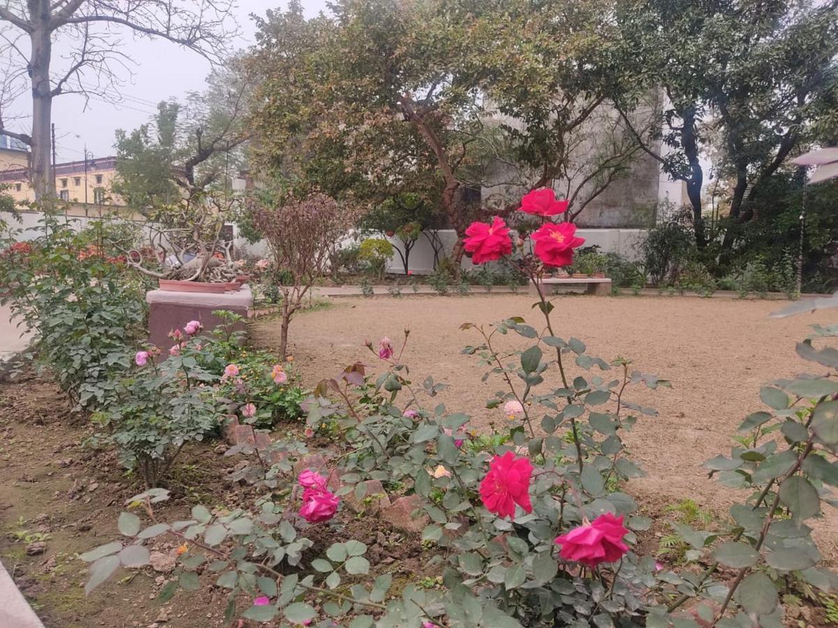 Vatika Homestay Varanasi Esterno foto