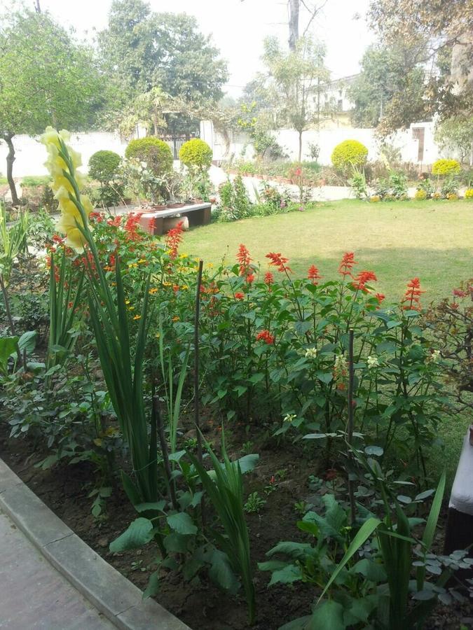 Vatika Homestay Varanasi Esterno foto